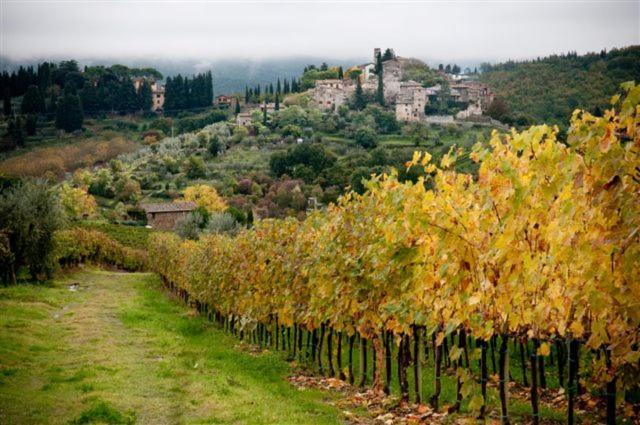 Agriturismo Podere Torre Greve in Chianti Εξωτερικό φωτογραφία