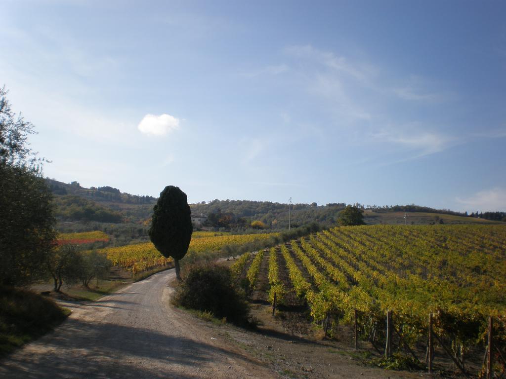 Agriturismo Podere Torre Greve in Chianti Εξωτερικό φωτογραφία
